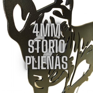 Vėjarodė Raganaitė II