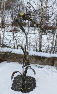 Laumžirgis ant meldų