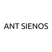 Ant sienos