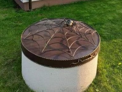 Šulinio dangtis su voratinkliu ir voru