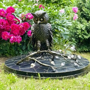 Šulinio dangtis su pelėdžiuku